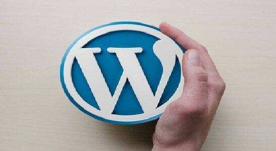Mastering WordPress: A Comprehensive Guide to Becoming a Pro